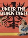 Under the Black Eagle