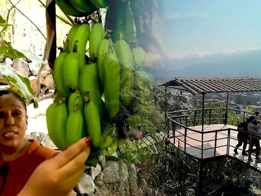 La familia peruana que resguarda una selva escondida en San Juan de Lurigancho hace más de 40 años