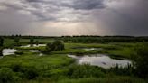 Storm chances later in the week