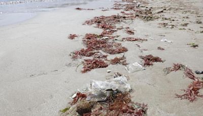 Basura en la orilla de la playa del Cabanyal tras su reapertura