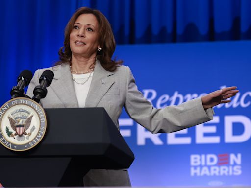 How Kamala Harris' approval ratings stand six months before election