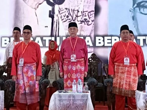 Umno won’t be bitten twice by same ‘snake’, Zahid Hamidi says