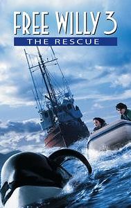 Free Willy 3: The Rescue