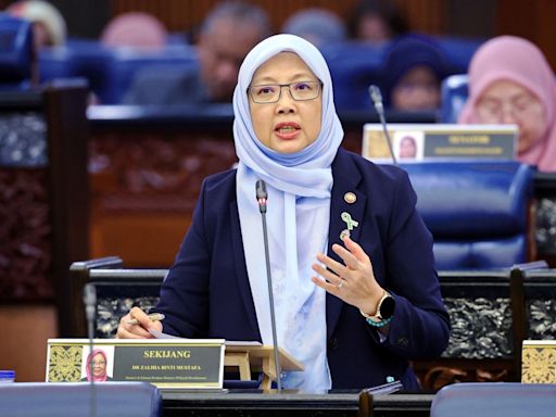 ‘Longkang otak’? FT minister moots system to track Malaysians working abroad to tackle brain drain