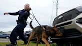 Drug-sniffing dog put his paws on a man’s car. Idaho Supreme Court says he trespassed