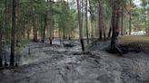 Rain and Floods Hit New Mexico Region Ravaged by Wildfires