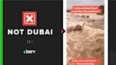 Viral video of camels being swept away is not from Dubai flooding