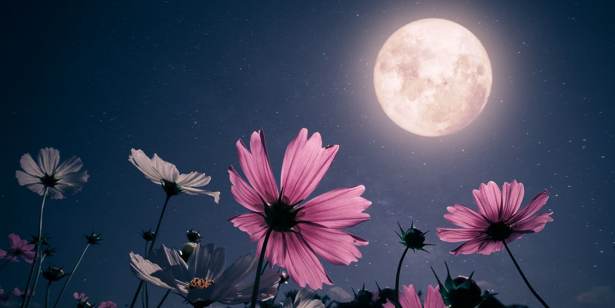 Expect to be go-go-go this weekend, thanks to the full moon in Sagittarius on May 23