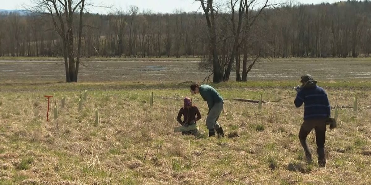 Wildlife Watch: Restoring natural floodplains