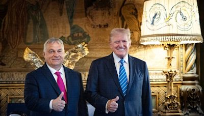 Hungary's Orban meets Trump after NATO summit