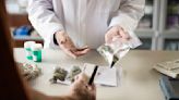 Canarias dice sí al uso medicinal del cannabis