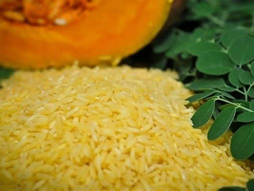 Philippine court blocks genetically modified golden rice production over safety fears