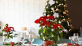 This Two-Step DIY Can Make a Basic Poinsettia Look Super Fancy