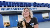Coulter out as head of Windsor/Essex County Humane Society