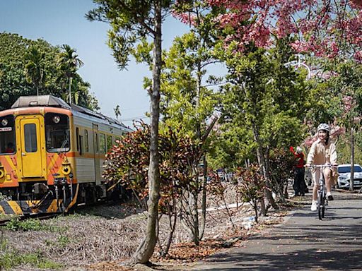 參山處推薦2條旅遊路線 邀您「一騎賞花趣」