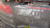 Abandoned Audi R8 Supercar Resurrected After Years of Neglect