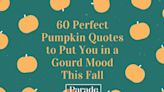 60 Perfect Pumpkin Quotes To Put You in a Gourd Mood This Fall