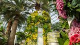 Heritage drinks brand Yeo's launches spectacular Drinkable Garden at Gardens by the Bay