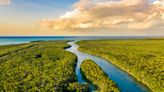 How To Explore Everglades National Park