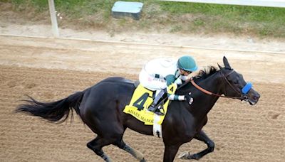 Adare Manor Routs Foes in Apple Blossom