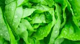 Here's how to give those dodgy greens in your fridge a second chance