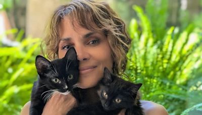 Halle Berry introduces her new kittens! Catwoman star gets feline pets