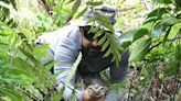 'Holy smokes ... This is science fact': What scientists have learned fighting Burmese pythons