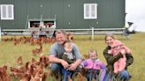 Evolving family farm welcomes free-range hens with hi-tech mobile homes