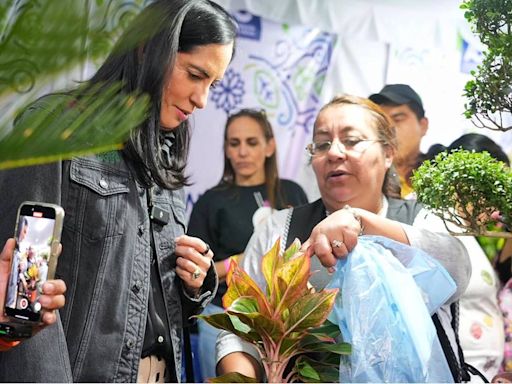 Feria de Las Flores deja derrama económica de 16 mdp: Lía limón | El Universal