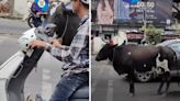 Cow waits patiently for traffic light to turn green in Pune, viral video surprises people