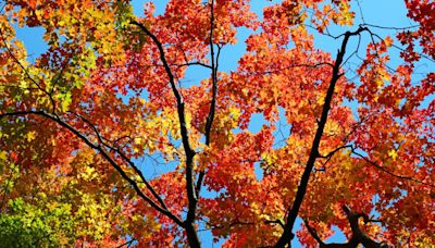 When is the first day of fall? The autumnal equinox, explained