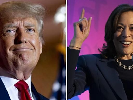 Kamala Harris vs Donald Trump: Opinion polls reveal game changing dynamics