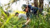 Tacoma teems with little forest oases. This team tends them for the environment and us