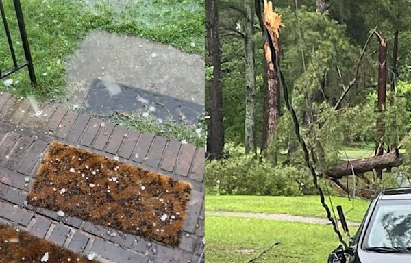 Hail, trees down, power outages in central NC as tornado warnings and severe weather hits