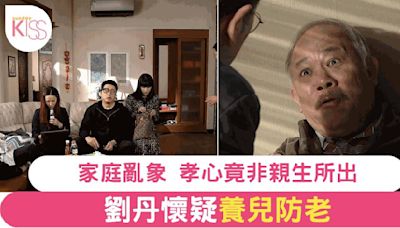 《愛回家之開心速遞》樹根質疑「養兒防老」 劉丹精彩演繹引發熱議