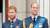 Prince Harry or Prince William: Harry's 'Costar' Rhys Darby Answers Who's More Handsome in Hilarious Video