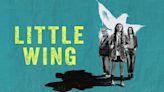 Little Wing (2024) Streaming: Watch & Stream Online via Paramount Plus