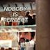 Nobody is Perfect