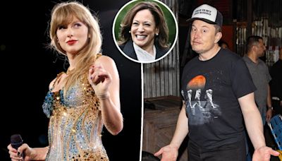 Elon Musk offers to give Taylor Swift a baby after ‘childless’ star endorses Kamala Harris for president