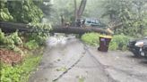 Tornado May Have Touched Down In Greenwood Lake During Round Of Severe Storms