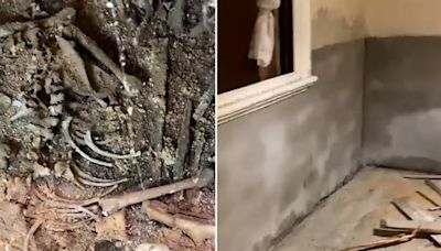 Buyer Renovating Home Pulls Up Floorboards—Calls Police Over What She Finds