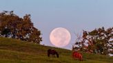 Pink moon to rise over Kentucky, then a meteor shower. Here’s when to catch a glimpse