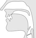 Voiced dental, alveolar and postalveolar nasals