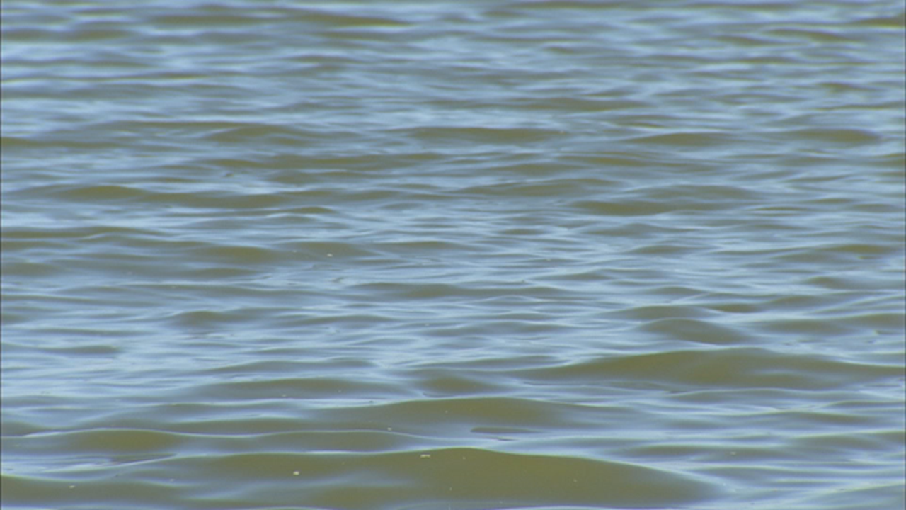 Missing kayaker’s body found in Trinity River
