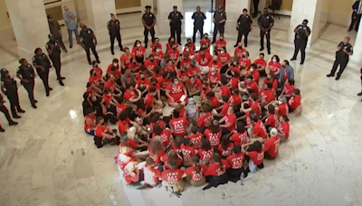 Pro-Palestine demonstrators arrested at US Capitol