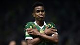 Palmeiras mantém rotina de boas atuações pós-Data Fifa