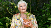 Actress Judi Dench says she 'can't even see' due to macular degeneration. Here's what to know about the leading cause of vision loss for people over 50.