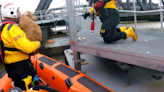 Terrified dog pulled from River Thames after falling 14ft into water