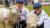 Your guide to the 2024 Suffolk Show
