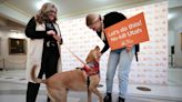 Utah to become largest no-kill state in country, Gov. Cox declares